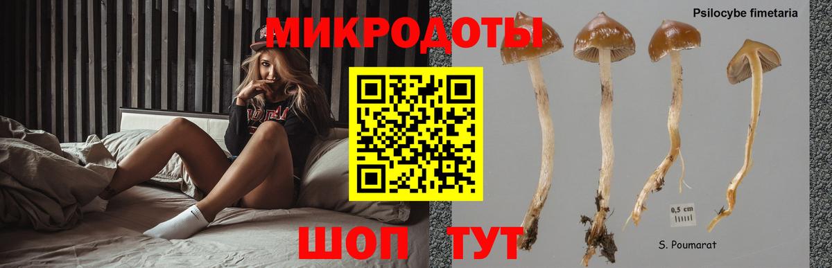 Галлюциногенные грибы мицелий Ковров